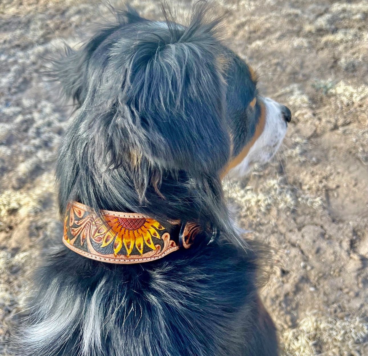 Floral Buck-stitch Collar